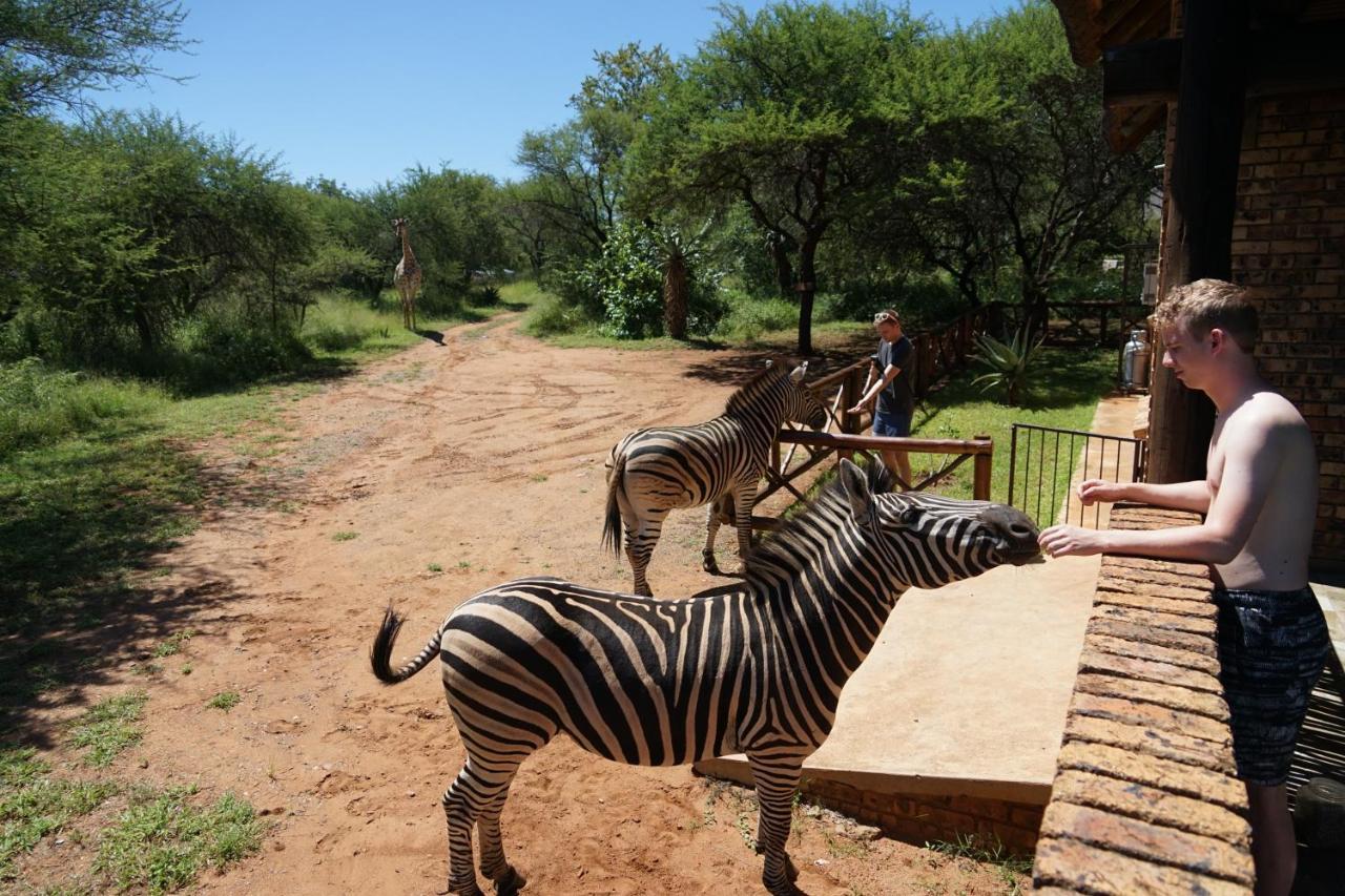 Villa Giraffe Plains Marloth Park Exterior foto
