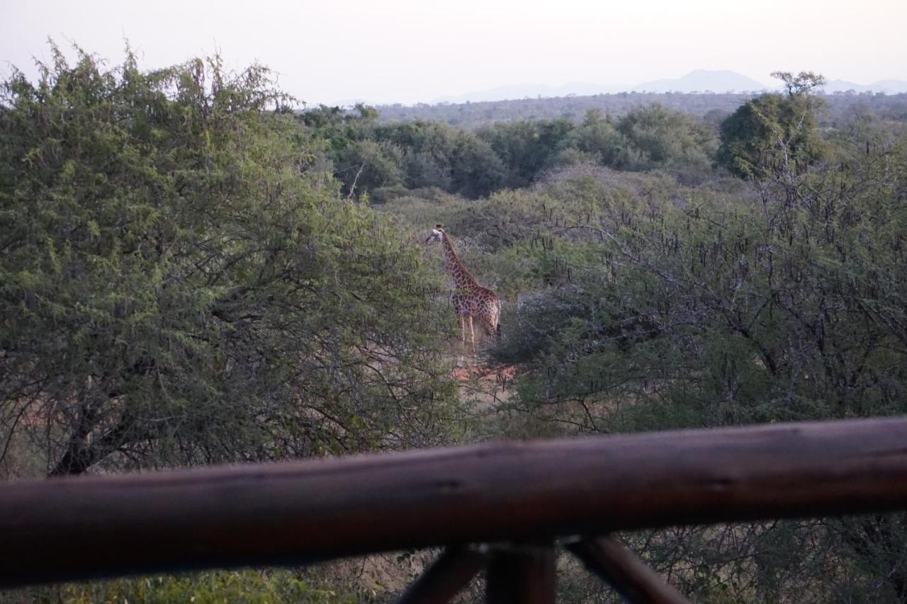 Villa Giraffe Plains Marloth Park Exterior foto